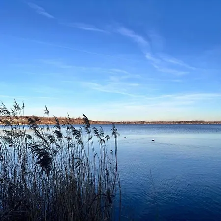 Rechte Im Seestern In 06249 Appartamento *